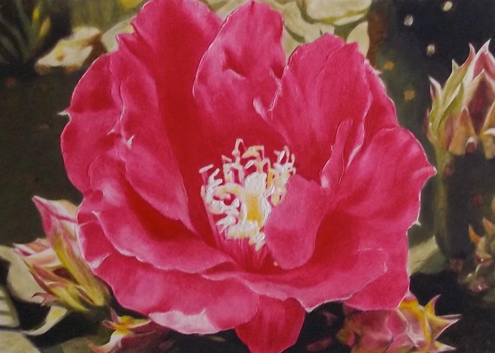 Pink Cactus Flower